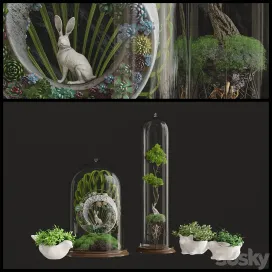 Florarium 3